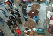 Free pictures of the Marvao Chestnut Festival