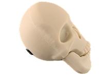 Skull Shaped Custom Flash Drive Cd154
