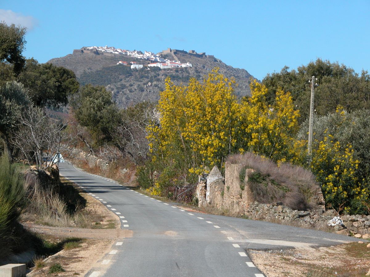 Marvao from road North East CJP031