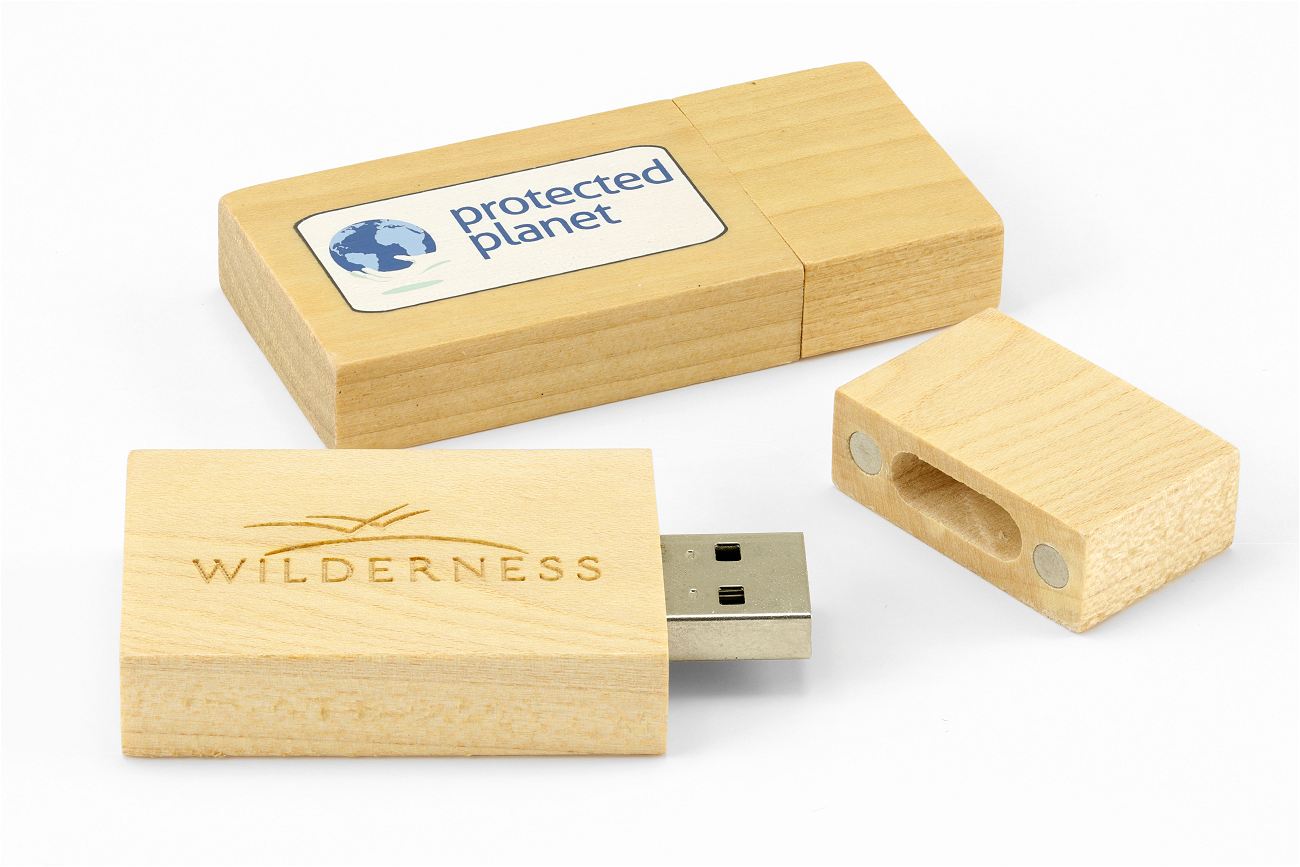 Wooden Eco Friendly USB Sticks